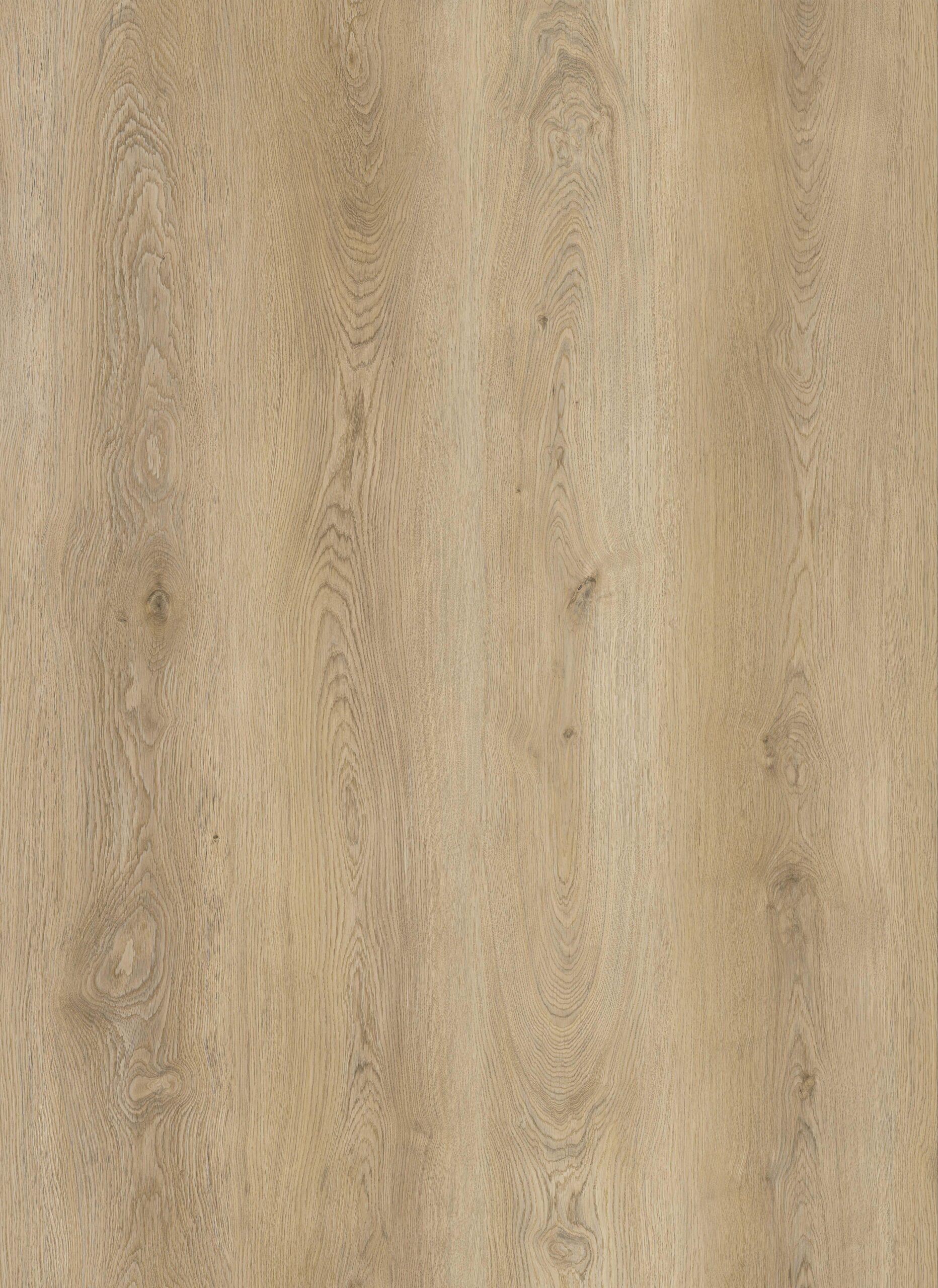 VINILA GRĪDAS SEG. SPC 6.5MM 33 WR310002