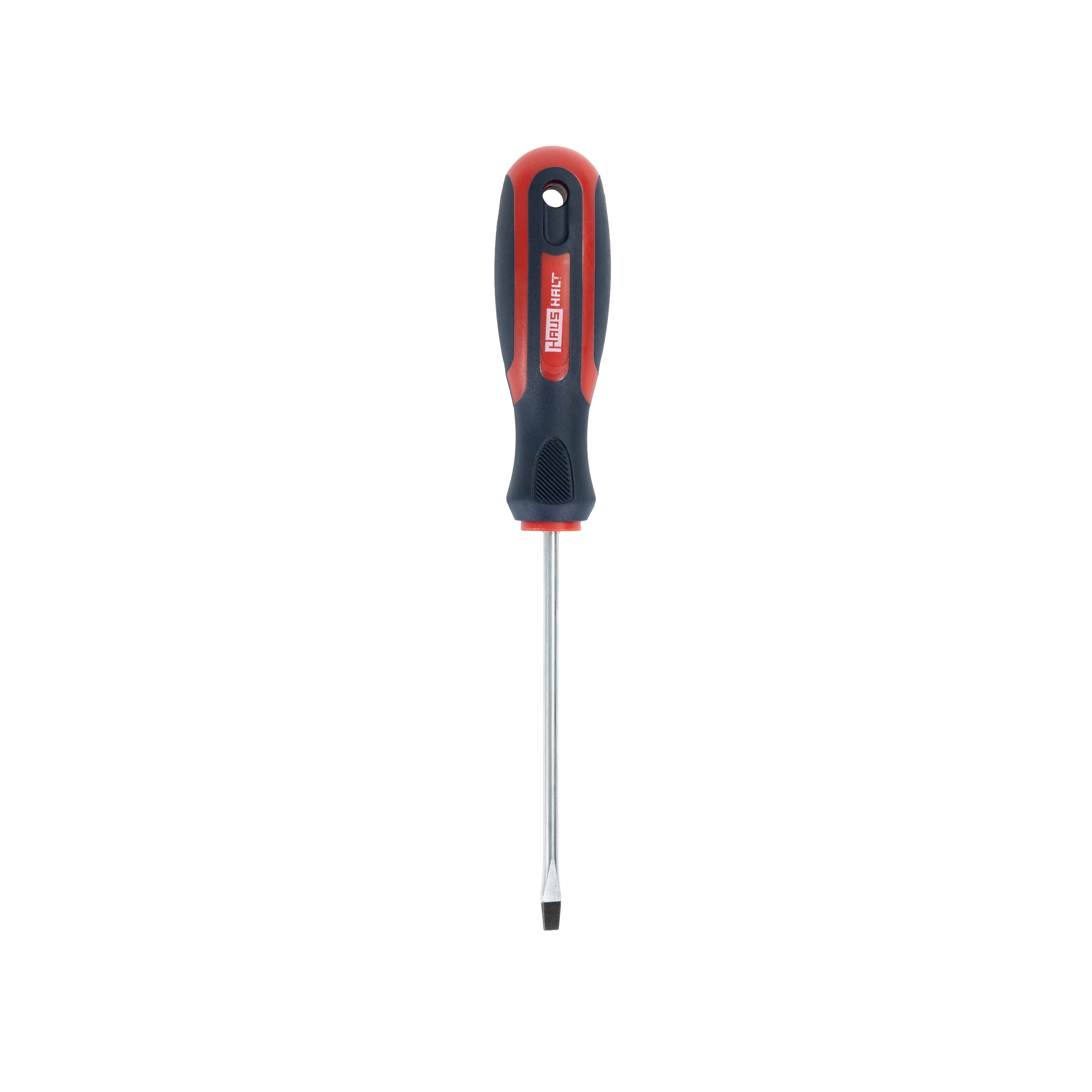 SCREWDRIVER PLAK.HAUSHALT SL4X100MM