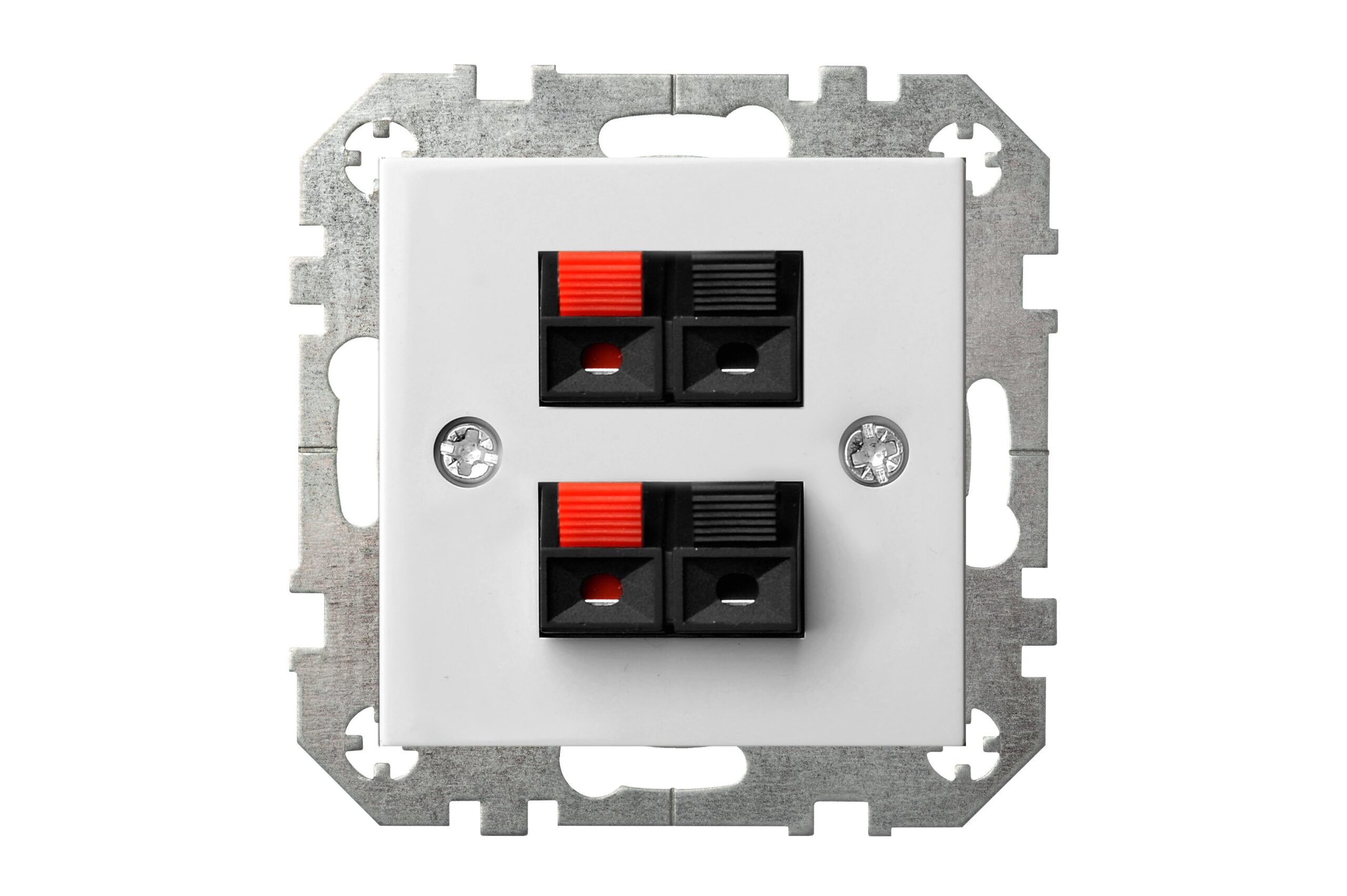 2 SKAĻRUŅU LIGZDA IGL-002-01 EPSILON