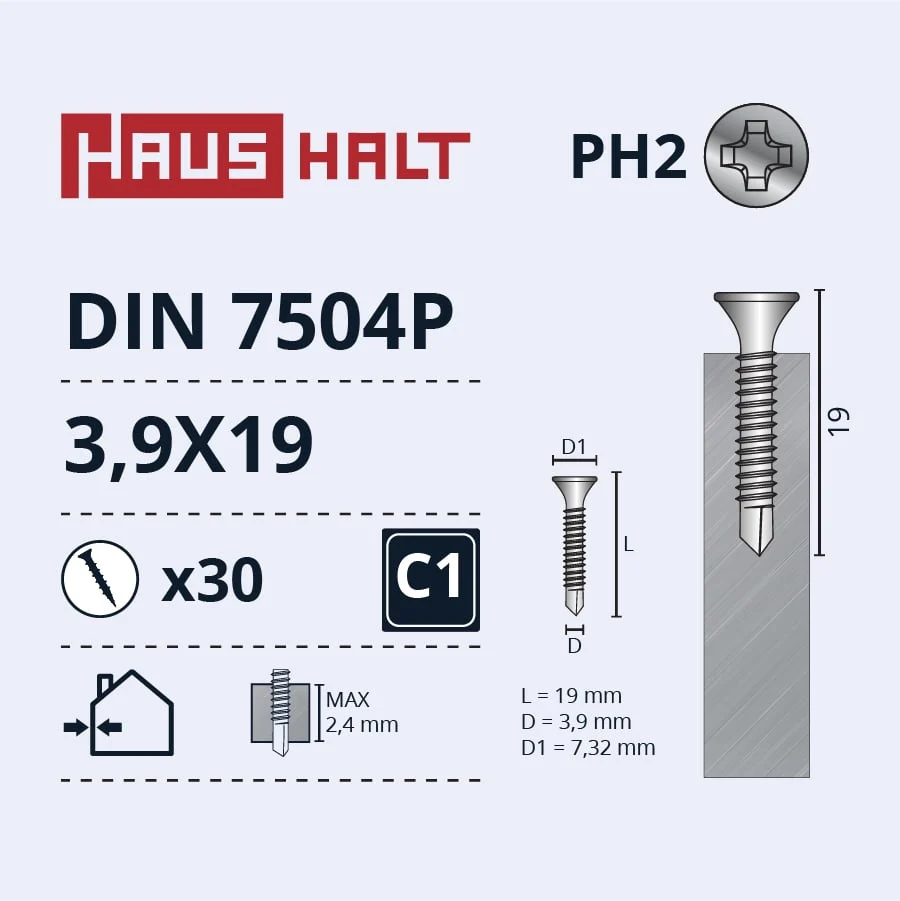 SCREW SELF-DRILLING 3.9X19 DIN7504P ZN 30PCS BL