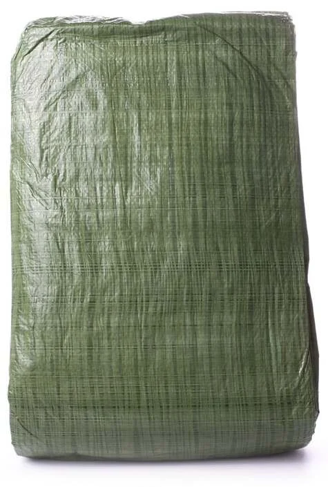 PĀRSEGS ZAĻŠ 6X10M 65GSM