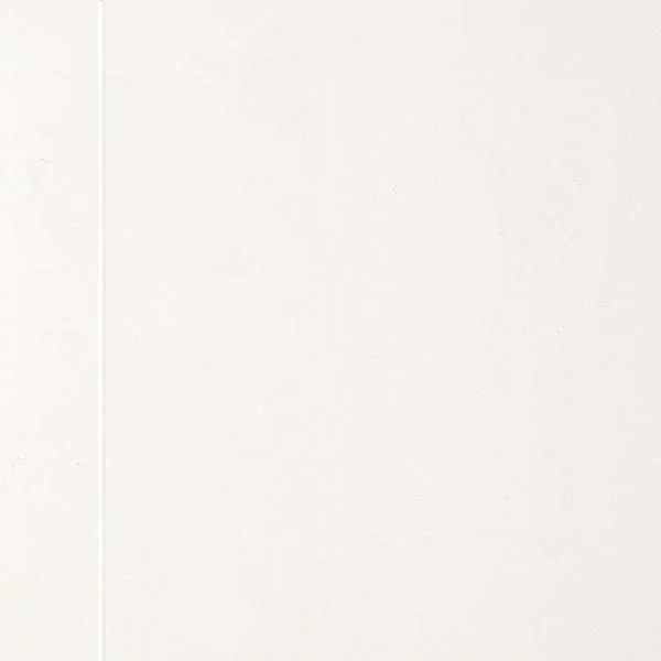APDARES PANELIS GREY WH 10X250X2600MM