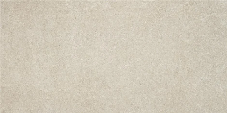 FLĪZE AKM.M.HARDY IVORY MAT.60X120 1.428