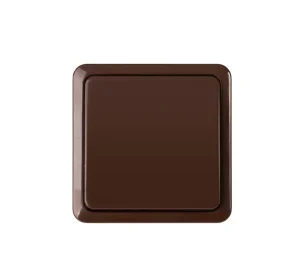 OVERALL SWITCH P110-010V 1-KEY BROWN SL+