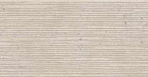 FLĪZE AKM.M MEMORY MARFIL RIF MAT 60X12