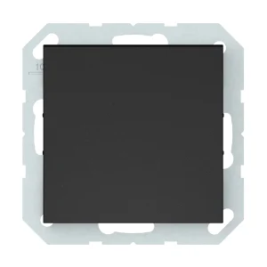 SWITCH P110-010-12 M.MAT. V.TAUST.+APG.