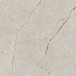 TILES BARCELONA GRAY 60X60 (1.44)