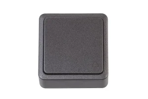SWITCH P110-010V 1KL ANTR SL+
