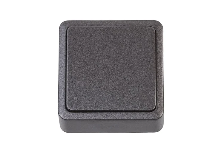 SWITCH P110-010V 1KL ANTR SL+