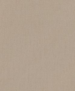 WALLPAPERS RASCH VINYL FLIZ.B. 484656 0.53
