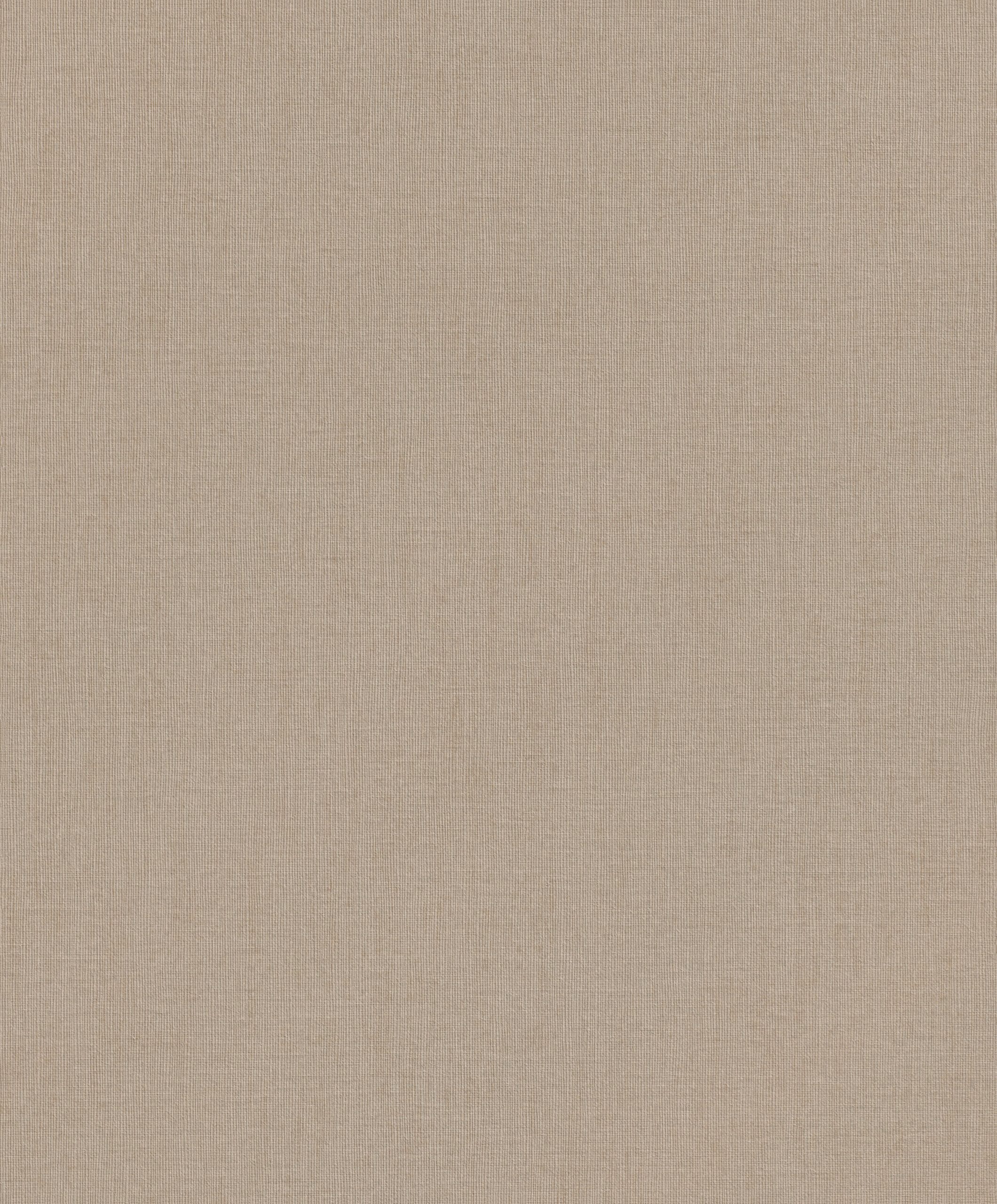 WALLPAPERS RASCH VINYL FLIZ.B. 484656 0.53