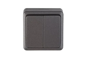 SWITCH P510-020V 2KL ANTR SL+