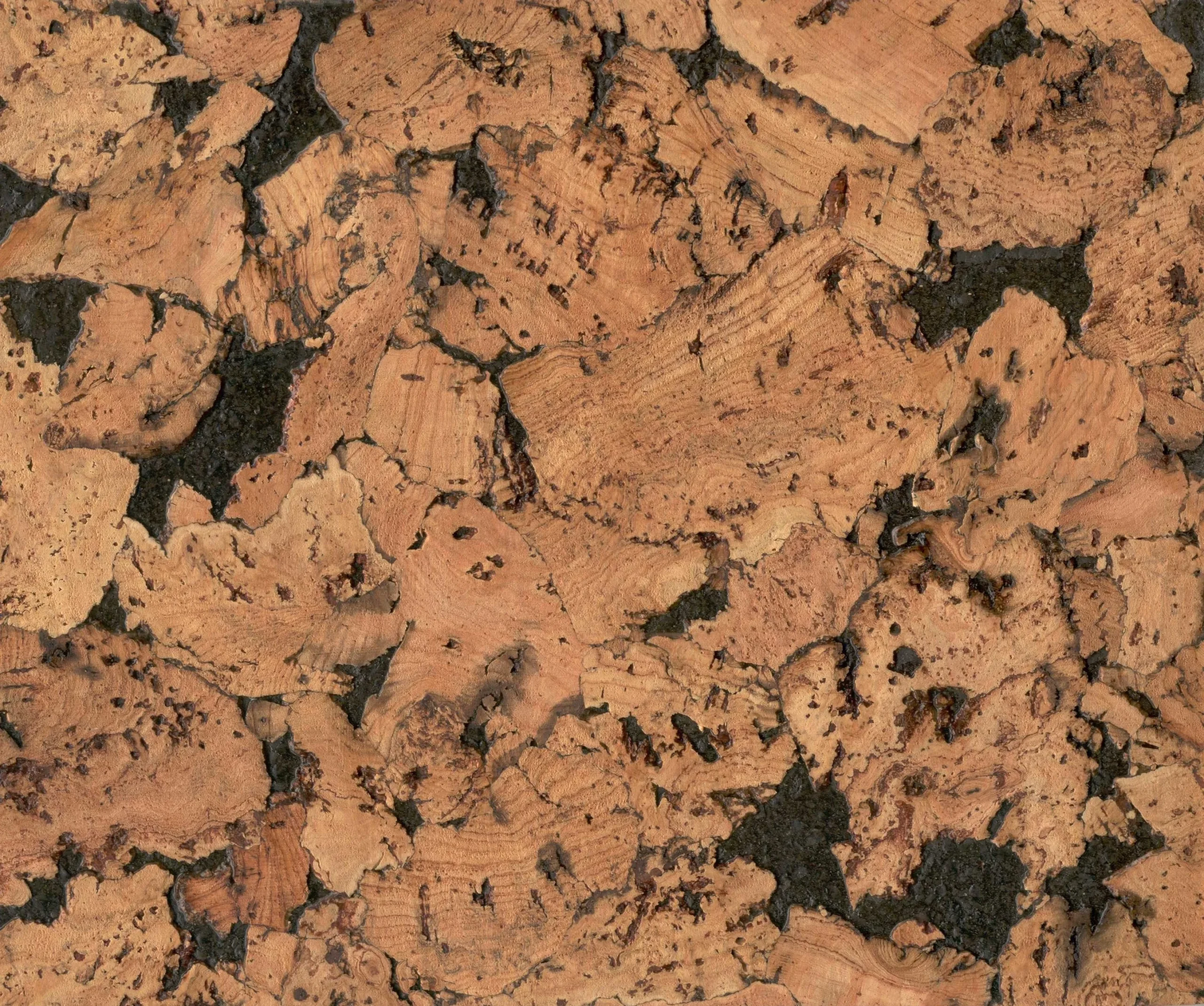 SEGUMS KORĶA CONDOR BLACK 30X60X0.3