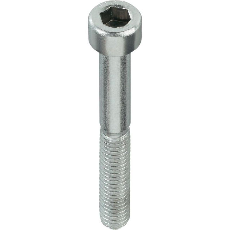 SKRŪVES DIN912 M10X25 MM ZN 100 GAB.
