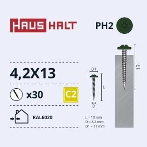 SKRŪV.PAŠG.4,2X13 MET RAL6020 30GB BL