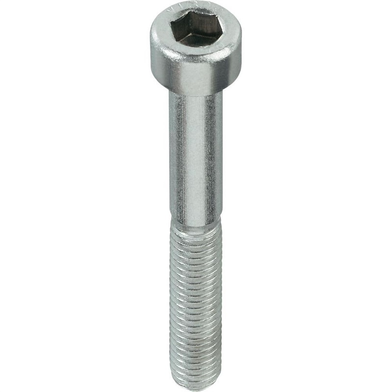 SKRŪVE DIN912 M6X30 ZN 20GB