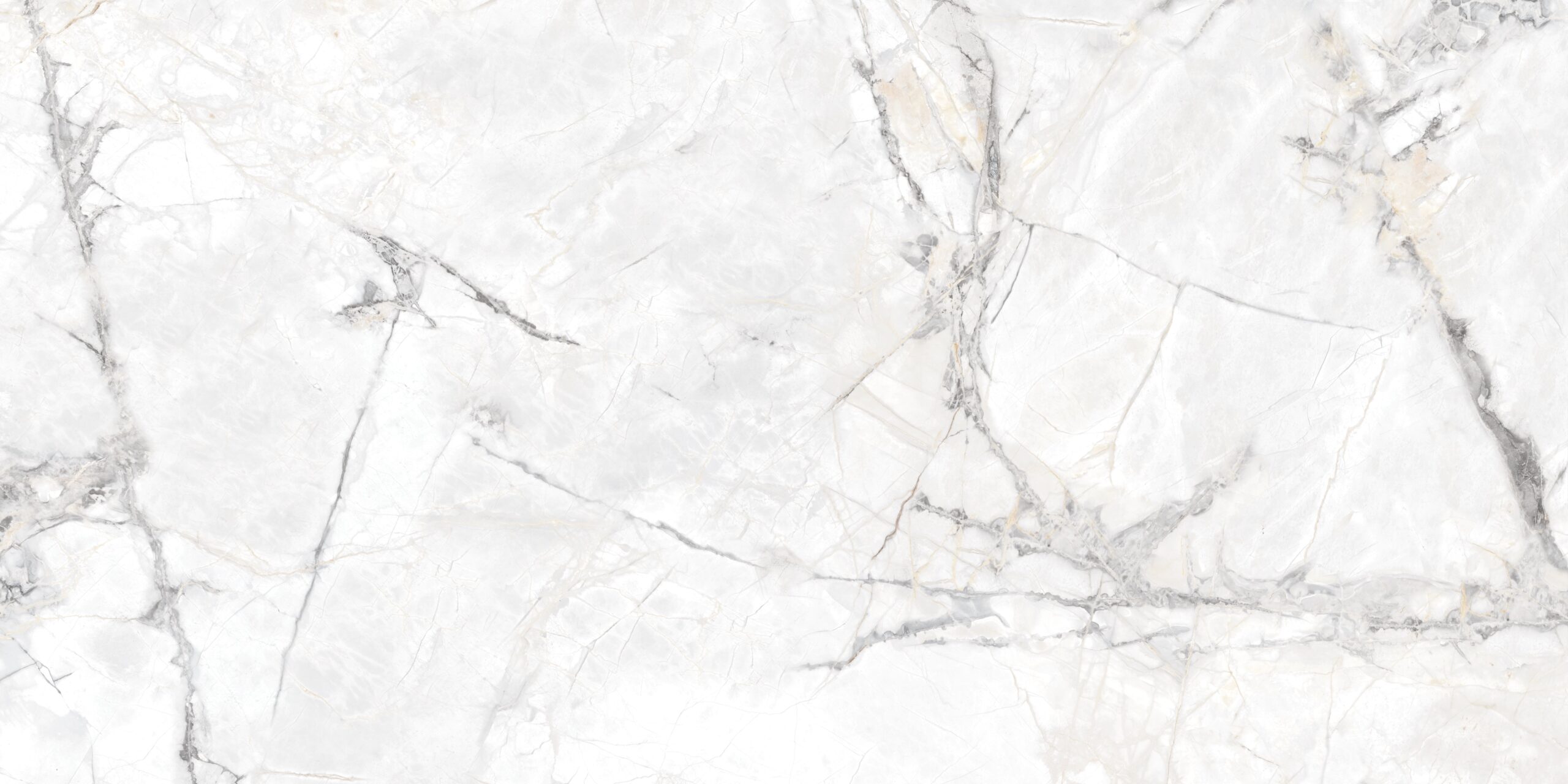 FL GRES BORGIA RECT 120X60 (1.44)