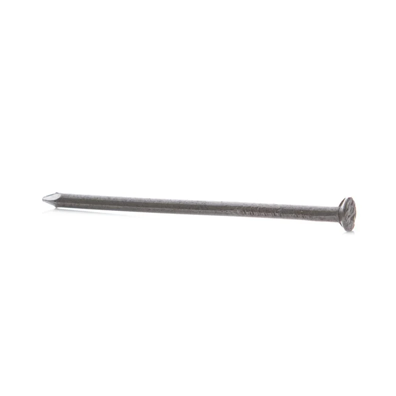 CONSTRUCTION NAILS 1.2X20 300GR