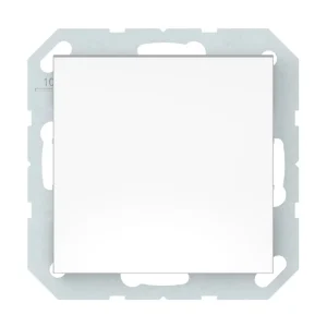 SWITCH WITH LIT. B. P610-010-12 QR1000