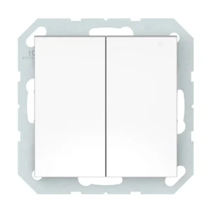 SWITCH 2 BUTTONS.WHITE P510-020-02 QR1000