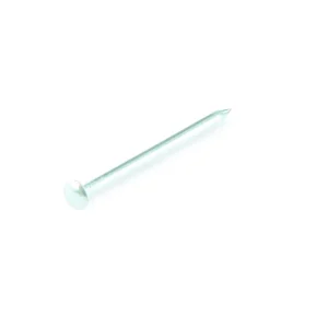 NAGLAS AR APAĻU GALVU 1,2X20 ZN 50GR