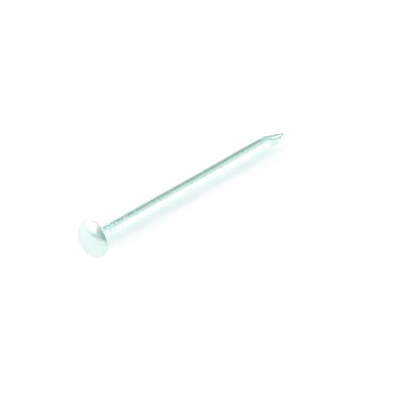 NAGLAS AR APAĻU GALVU 1,2X20 ZN 50GR
