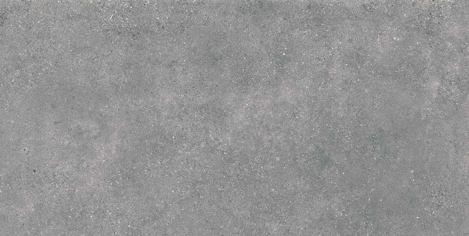 FLĪZE AKM.M PORTL GRIS MATE 60X120 (1.44