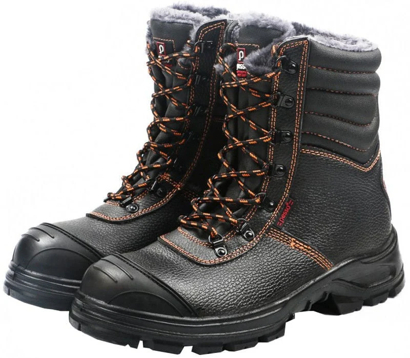 ZIEMAS ZĀBAKI BS659 S3 SRC 46 PESSO