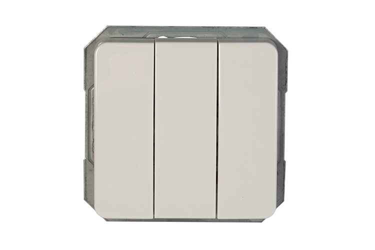 WHITE LX200 SWITCH P510-030-02 V