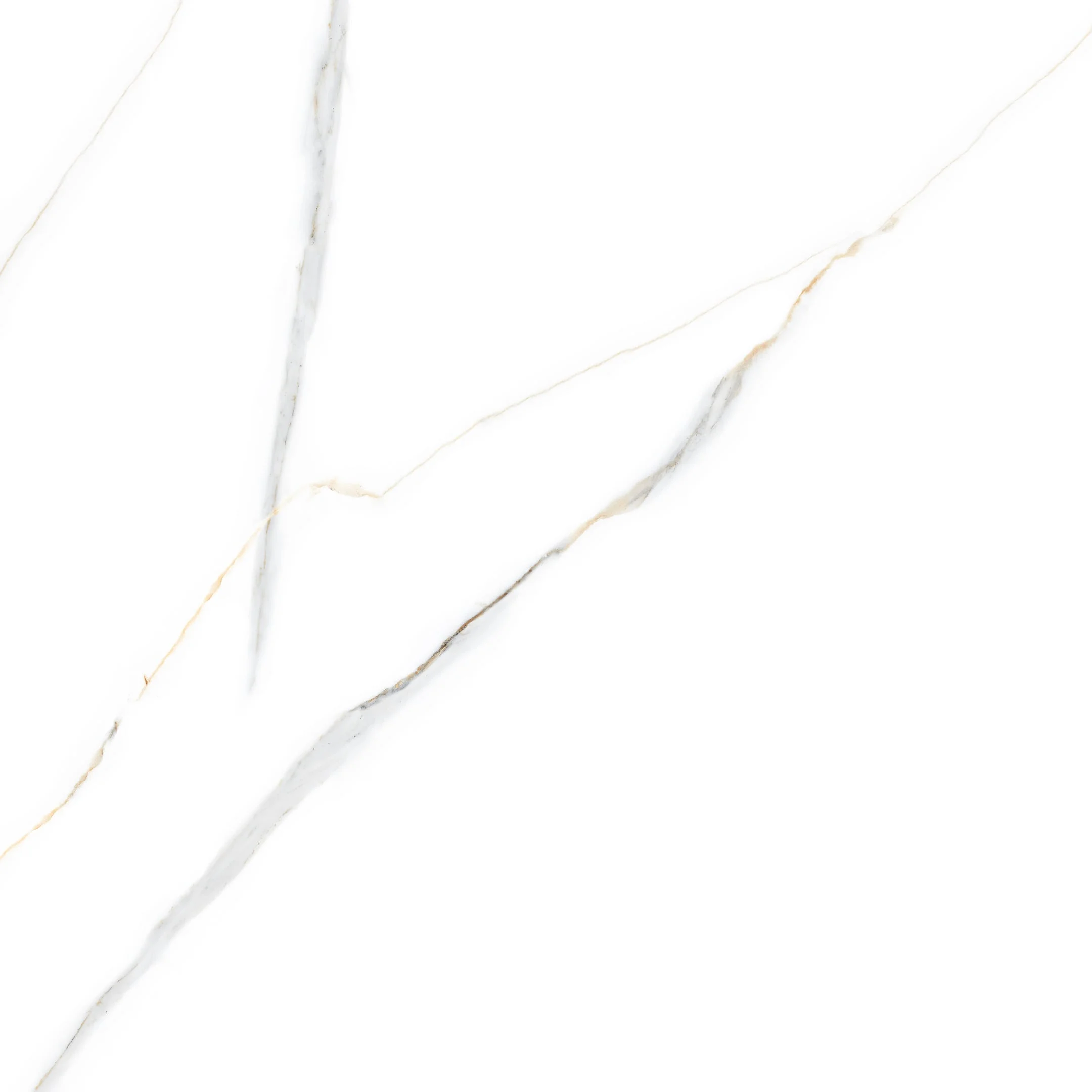 A.MAS.FL CLASSIC CARRARA REC 60X60(1.44)
