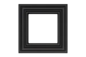 FRAME 1 PLACE SERIES R.M.M.
