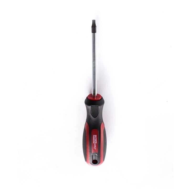 TORX SCREWDRIVER