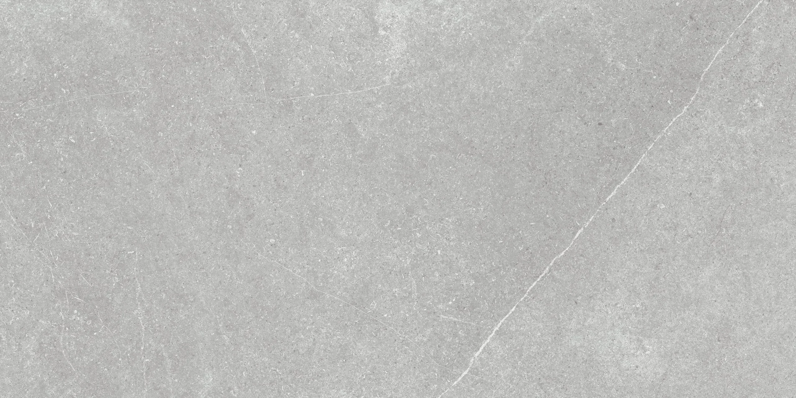 TILE OKM.M. ESSENTIAL GRAY REC 60X120(