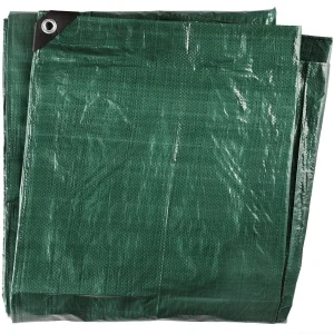 PĀRSEGS TARMO PE 80G 6X8M 258433