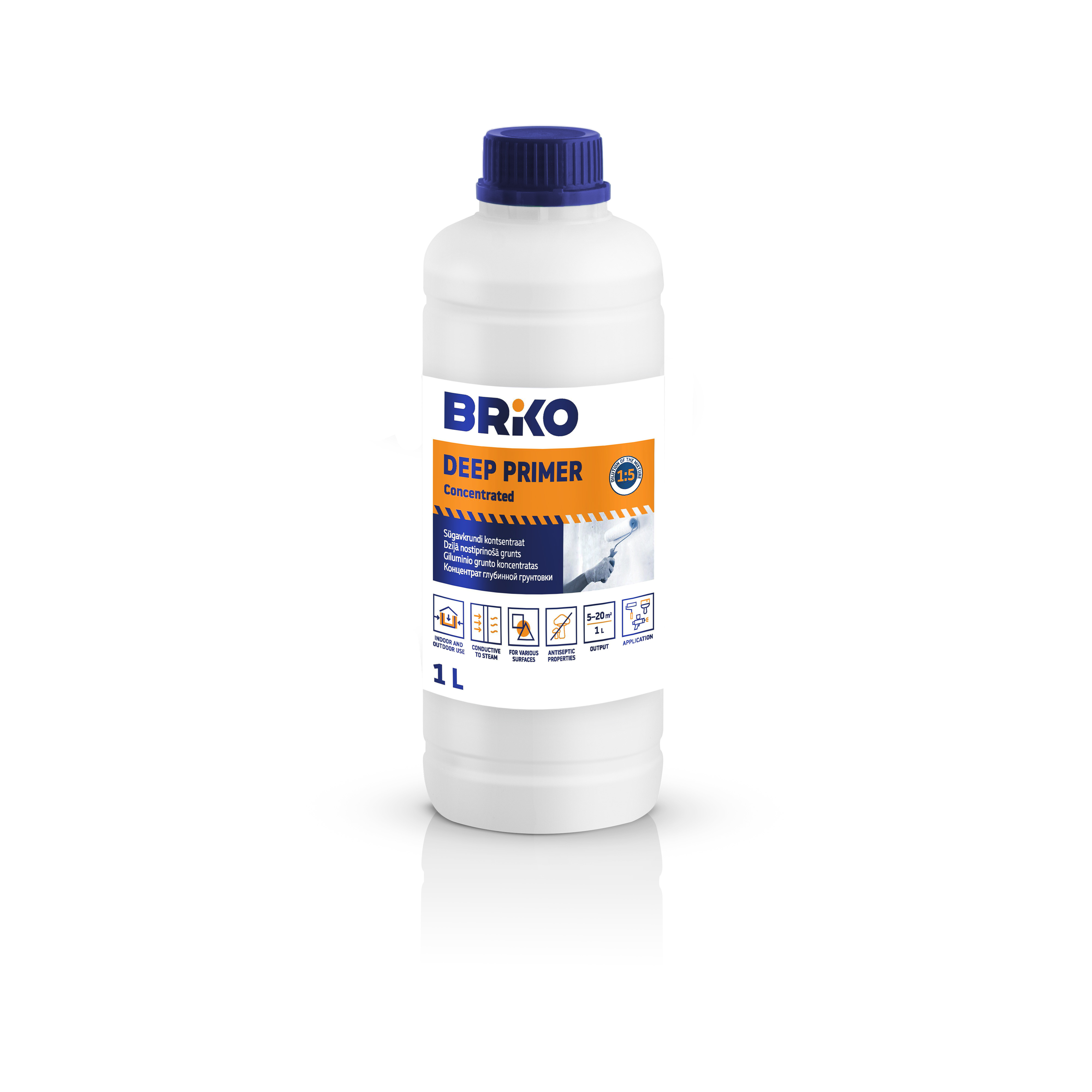 DEPTH CONCENTRATE BRIKO 1 L