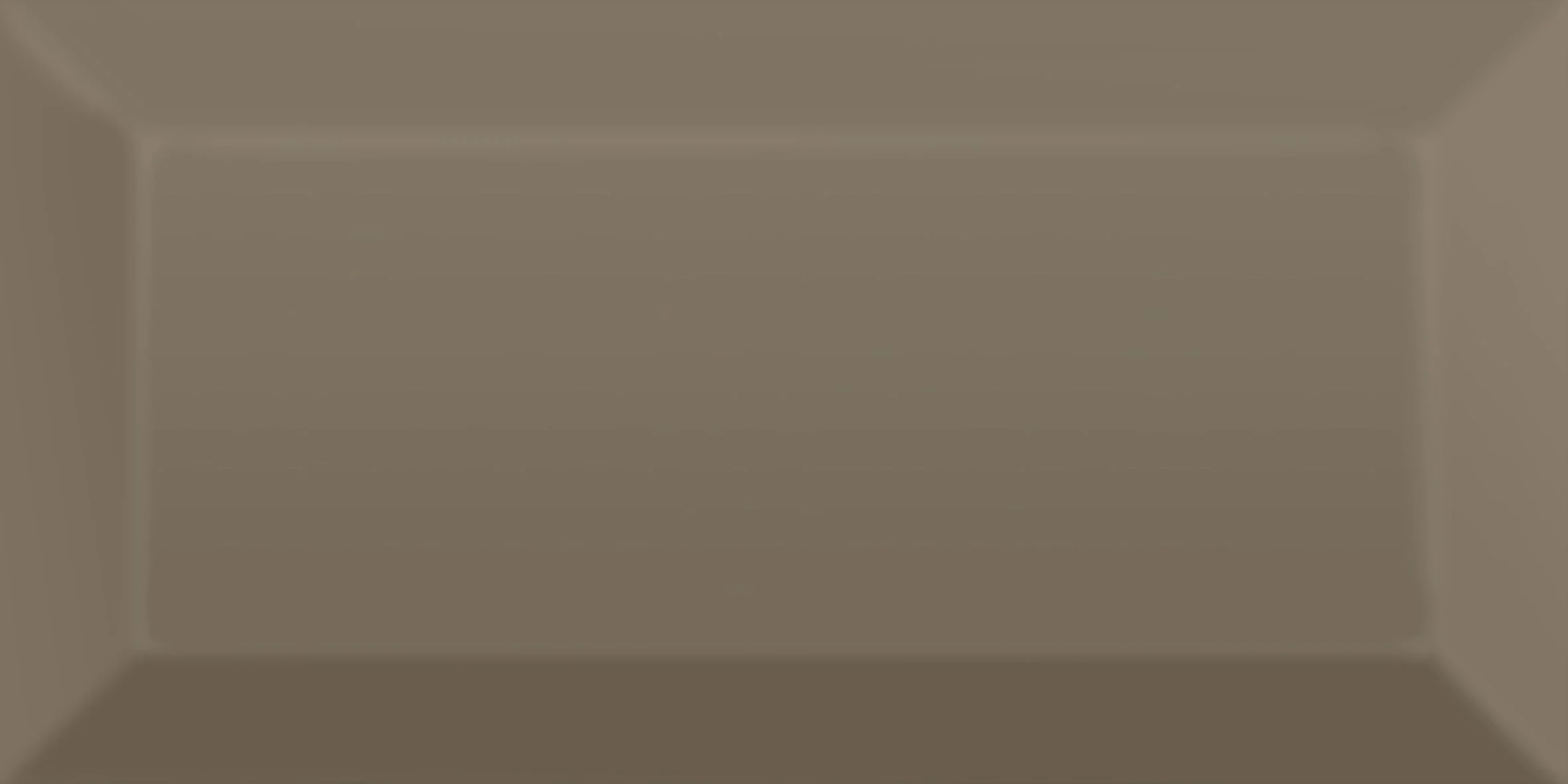 TILES METRO TILES GRAY 10X20 (0.88)