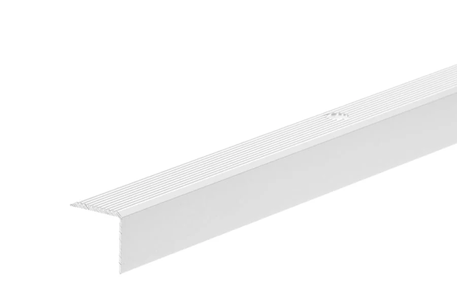 LADDER CESSAR. SILVER 2000X20MM