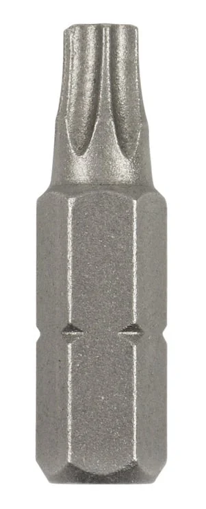 UZGAĻI SKRŪVĒŠANAS T10 25MM 2GB