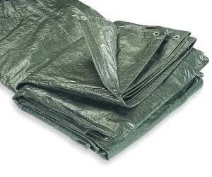 PĀRKLĀJS FXA 8X12M 100GR/M2 ZAĻŠ